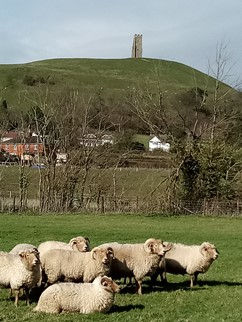 Glastonbury Tor Portland fleeces